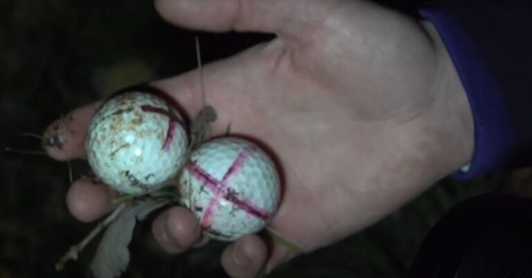 How to Get Free Golf Balls: Tips and Strategies