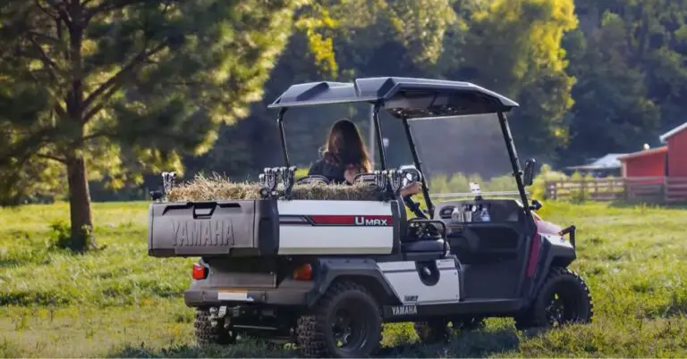 Golf Cart Brands: Choosing The Perfect Ride For The Greens