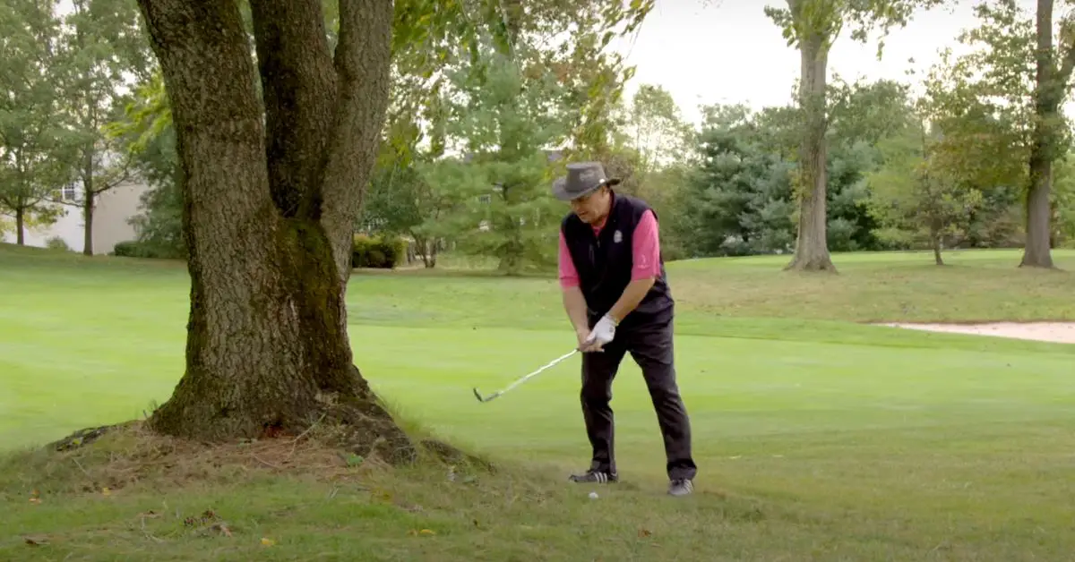 Golf Rules Ball Against Tree Fence Or Other Obstacles golf-rules-ball-against-tree-fence-or-other-obstacles-justgolfin