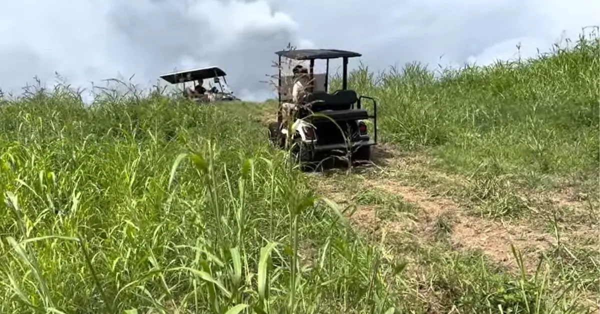 Gas Vs Electric Golf Cart Choosing The Right Golf Cart